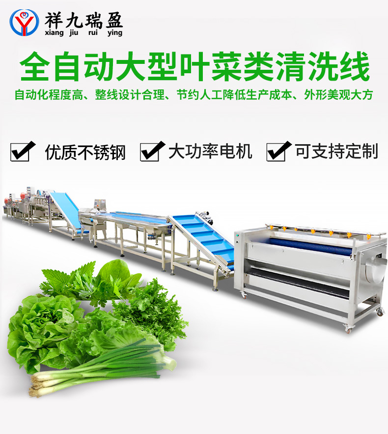 大型葉菜類清洗線生產(chǎn)流程與配套設(shè)備，你知道有多少？