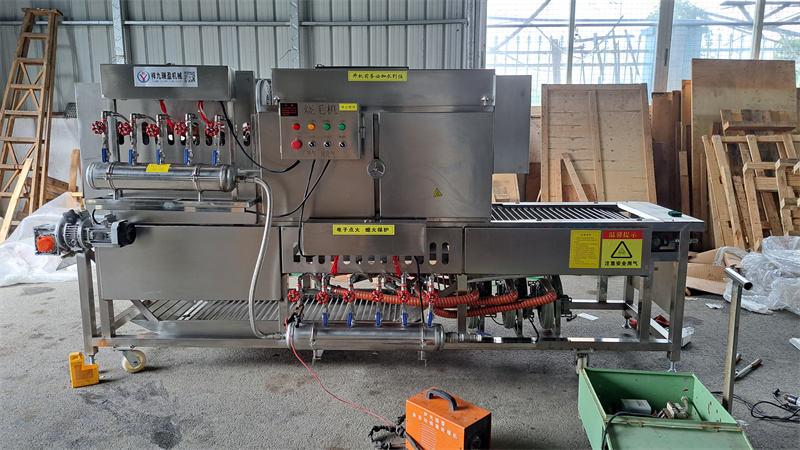 豬腳牛蹄自動(dòng)燎燒絨毛機(jī)，多爐頭、大流量的安全管家 